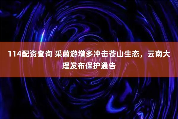 114配资查询 采菌游增多冲击苍山生态，云南大理发布保护通告